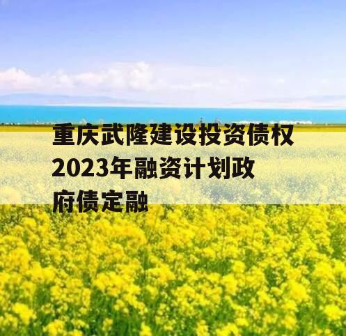 重庆武隆建设投资债权2023年融资计划政府债定融