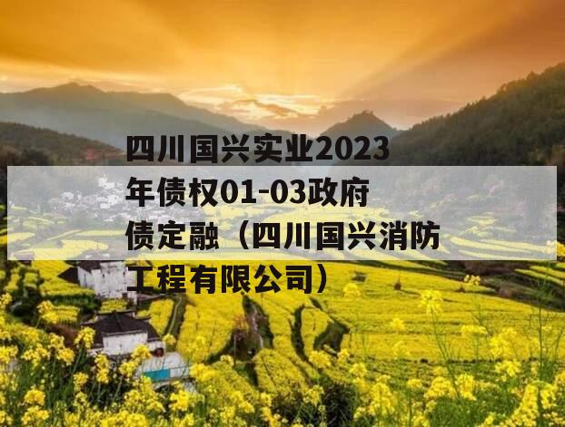 四川国兴实业2023年债权01-03政府债定融（四川国兴消防工程有限公司）