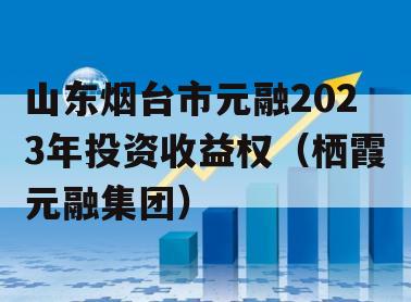 山东烟台市元融2023年投资收益权（栖霞元融集团）