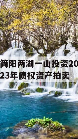 简阳两湖一山投资2023年债权资产拍卖