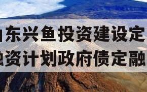 山东兴鱼投资建设定向融资计划政府债定融