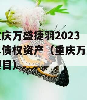 重庆万盛捷羽2023年债权资产（重庆万盛项目）