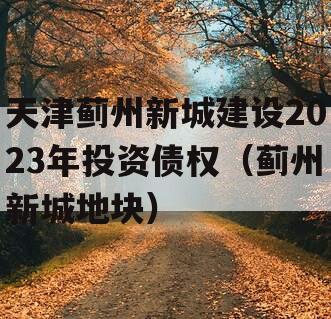 天津蓟州新城建设2023年投资债权（蓟州新城地块）