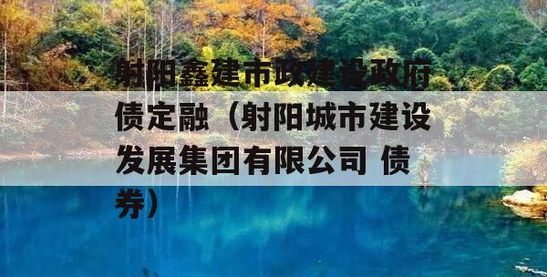 射阳鑫建市政建设政府债定融（射阳城市建设发展集团有限公司 债券）