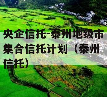 央企信托-泰州地级市集合信托计划（泰州 信托）