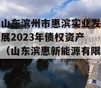 山东滨州市惠滨实业发展2023年债权资产（山东滨惠新能源有限公司）