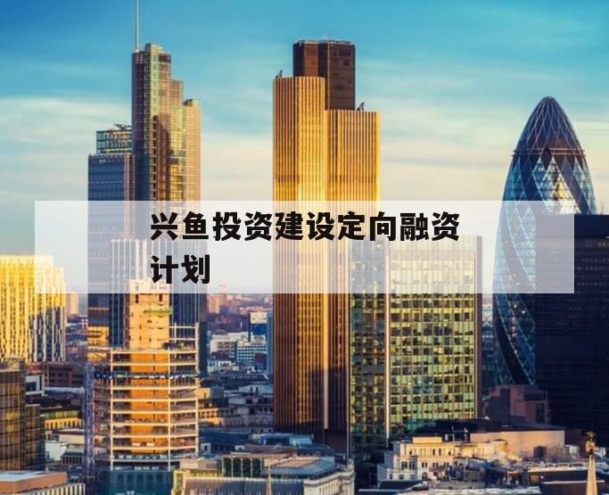 兴鱼投资建设定向融资计划