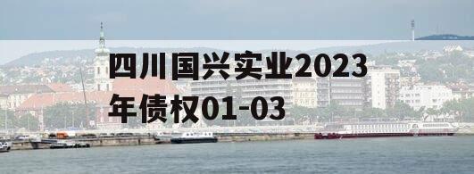 四川国兴实业2023年债权01-03