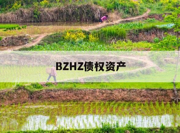 BZHZ债权资产