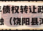 河北饶阳县鸿源城建2023年债权转让政府债定融（饶阳县鸿钧新能源科技有限公司）