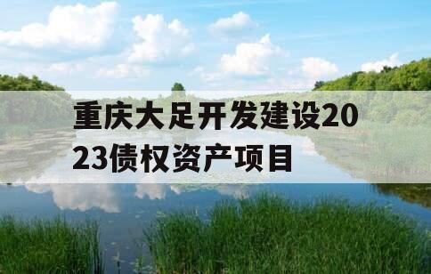 重庆大足开发建设2023债权资产项目