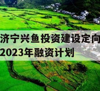 济宁兴鱼投资建设定向2023年融资计划