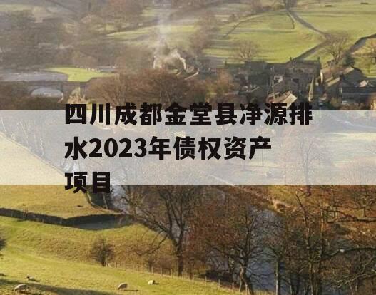 四川成都金堂县净源排水2023年债权资产项目