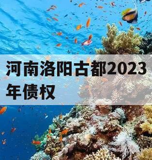 河南洛阳古都2023年债权