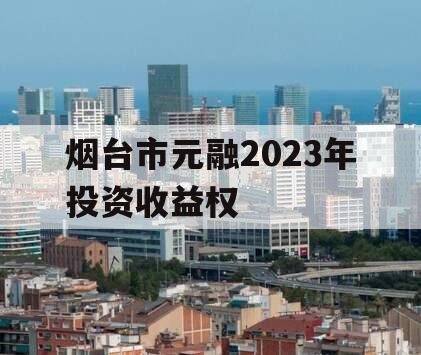 烟台市元融2023年投资收益权