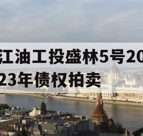 江油工投盛林5号2023年债权拍卖