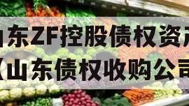 山东ZF控股债权资产（山东债权收购公司）