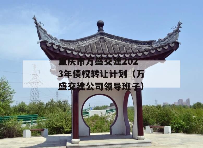 重庆市万盛交建2023年债权转让计划（万盛交建公司领导班子）