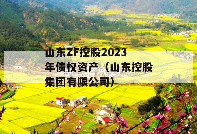 山东ZF控股2023年债权资产（山东控股集团有限公司）