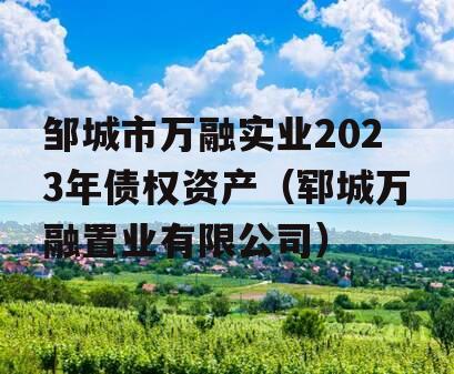 邹城市万融实业2023年债权资产（郓城万融置业有限公司）