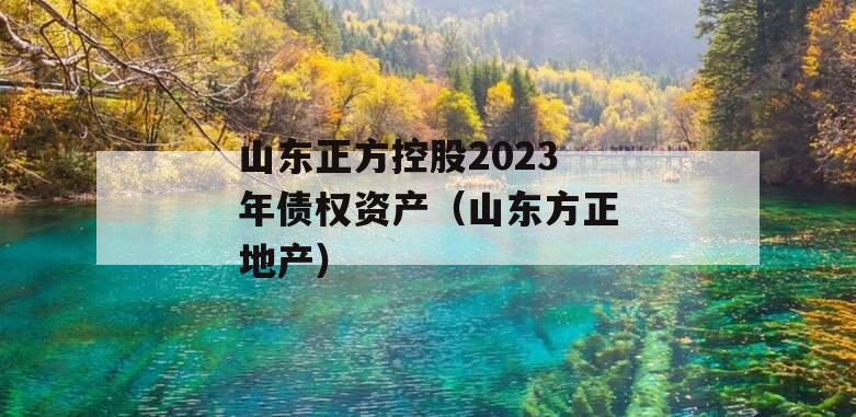 山东正方控股2023年债权资产（山东方正地产）