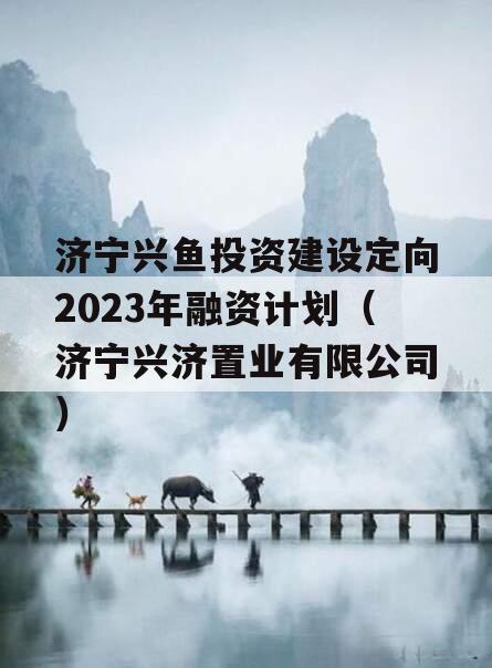 济宁兴鱼投资建设定向2023年融资计划（济宁兴济置业有限公司）