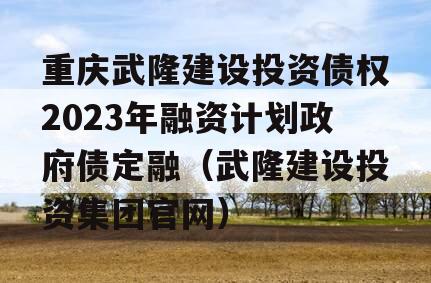 重庆武隆建设投资债权2023年融资计划政府债定融（武隆建设投资集团官网）