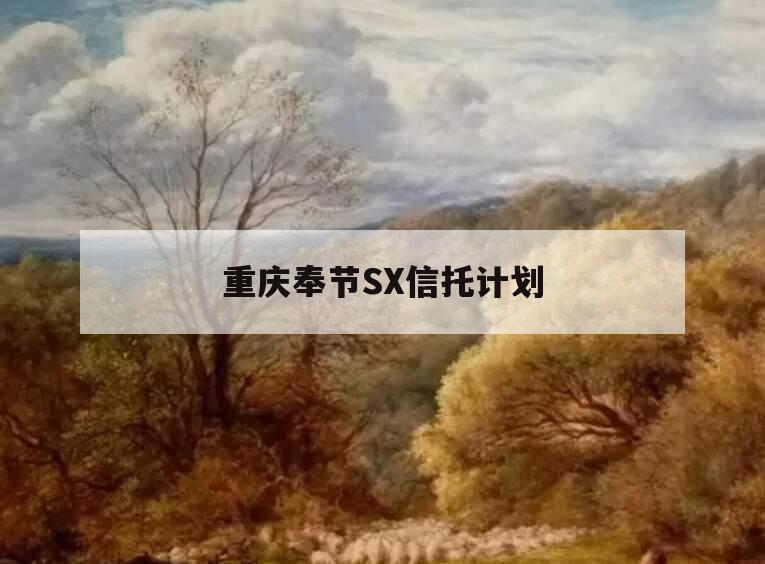 重庆奉节SX信托计划