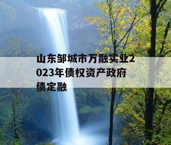 山东邹城市万融实业2023年债权资产政府债定融