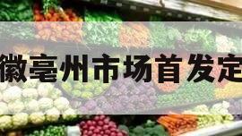 安徽亳州市场首发定融