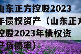 山东正方控股2023年债权资产（山东正方控股2023年债权资产负债率）