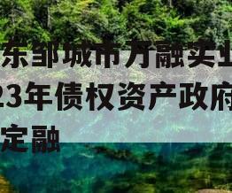 山东邹城市万融实业2023年债权资产政府债定融