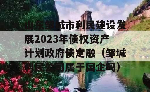 山东邹城市利民建设发展2023年债权资产计划政府债定融（邹城利民公司属于国企吗）