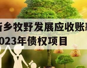 新乡牧野发展应收账款2023年债权项目