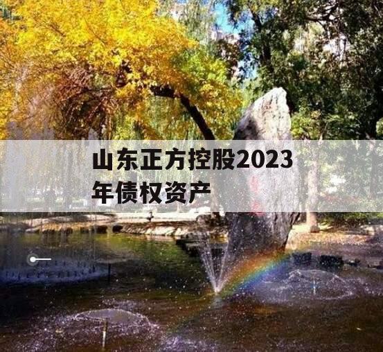 山东正方控股2023年债权资产