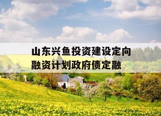 山东兴鱼投资建设定向融资计划政府债定融