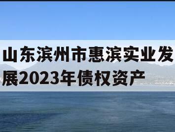 山东滨州市惠滨实业发展2023年债权资产