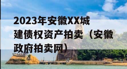 2023年安徽XX城建债权资产拍卖（安徽政府拍卖网）