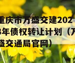 重庆市万盛交建2023年债权转让计划（万盛交通局官网）