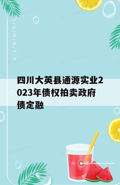 四川大英县通源实业2023年债权拍卖政府债定融