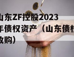 山东ZF控股2023年债权资产（山东债权收购）