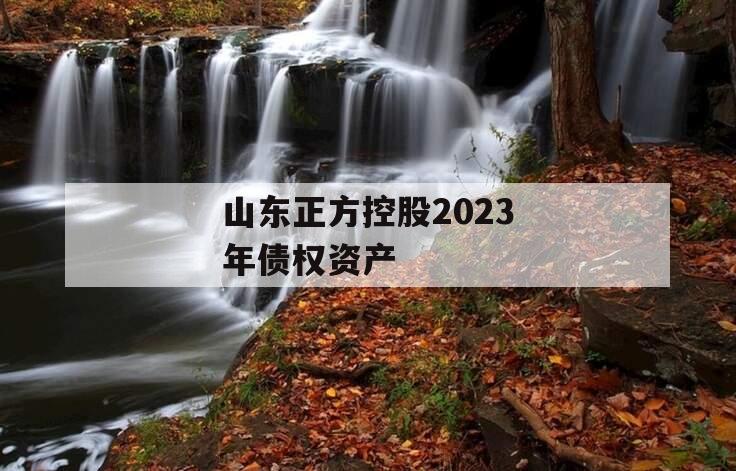 山东正方控股2023年债权资产