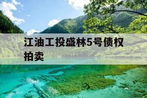 江油工投盛林5号债权拍卖