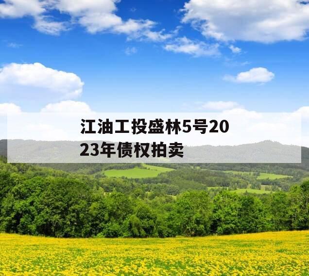 江油工投盛林5号2023年债权拍卖