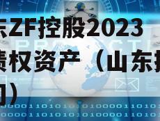 山东ZF控股2023年债权资产（山东控股公司）