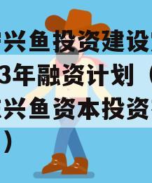 济宁兴鱼投资建设定向2023年融资计划（山东兴鱼资本投资有限公司）