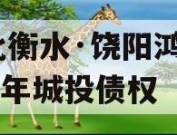 河北衡水·饶阳鸿源2023年城投债权