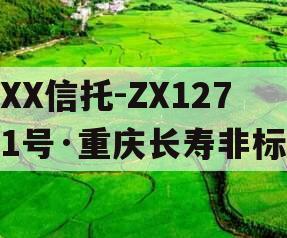 XX信托-ZX1271号·重庆长寿非标