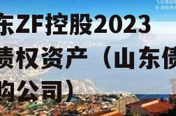 山东ZF控股2023年债权资产（山东债权收购公司）