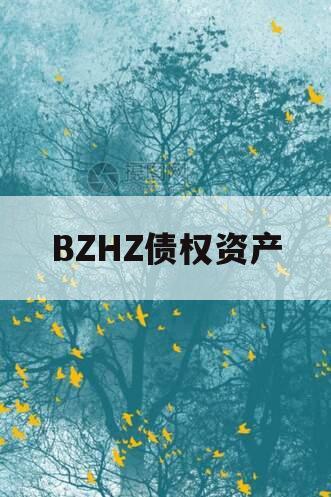 BZHZ债权资产